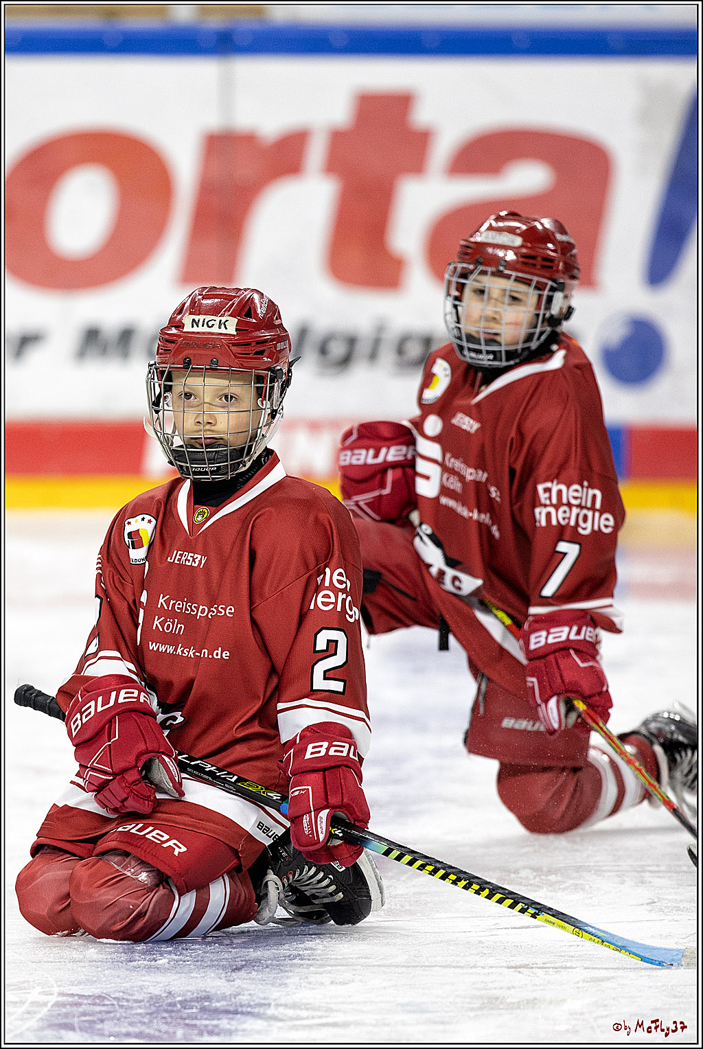 PENNY DEL;  Koelner Haie - Junghaie U9; Koeln, 18.03.2022